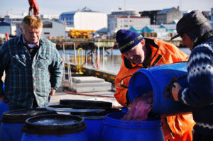 Pêcheurs Islandais